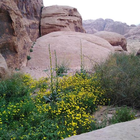 Welcome To Wadi Rum Camp Buitenkant foto